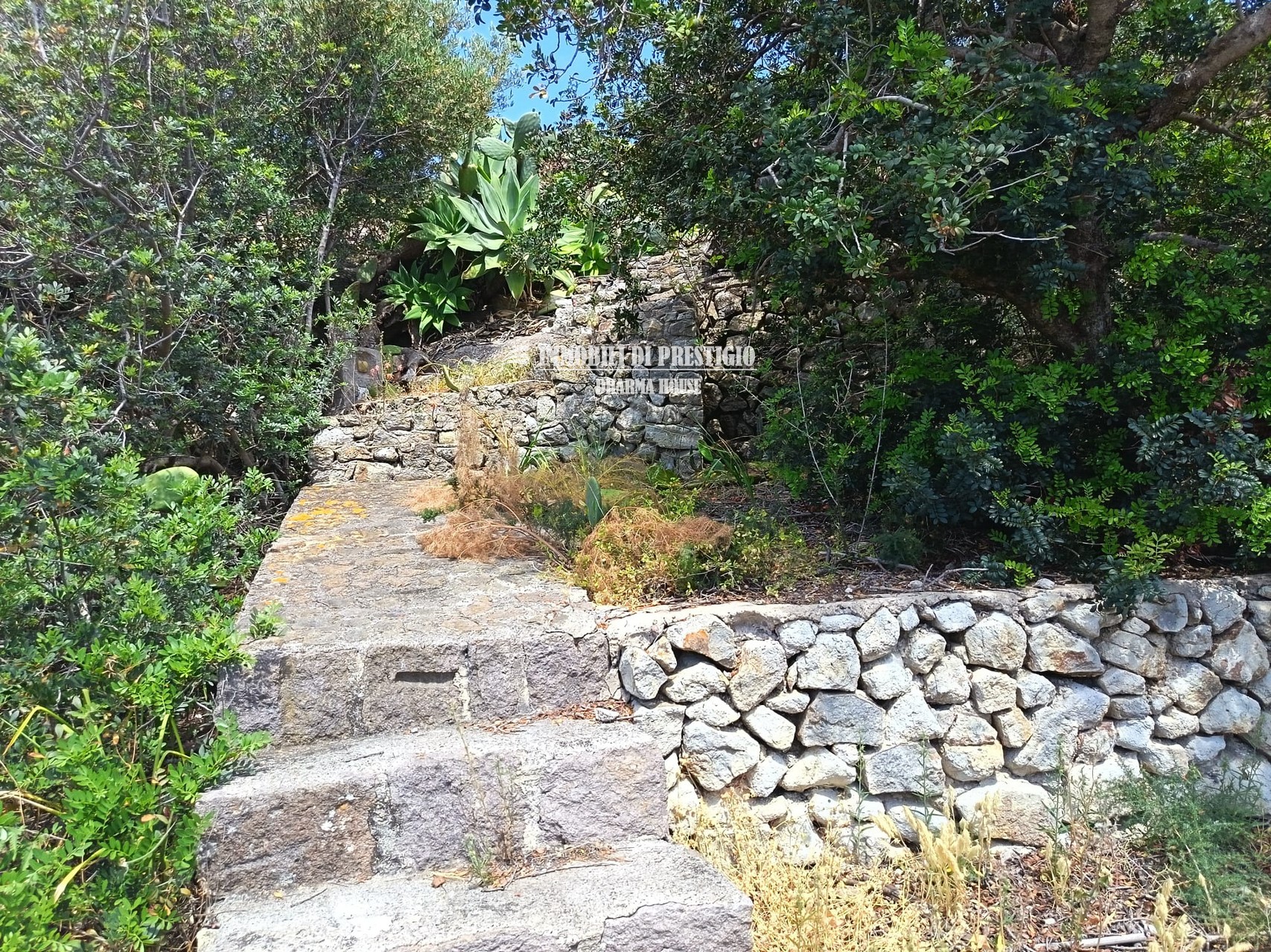 mg-lipari032 PANAREA, VENDITA VILLA A POCHI PASSI DAL MARE