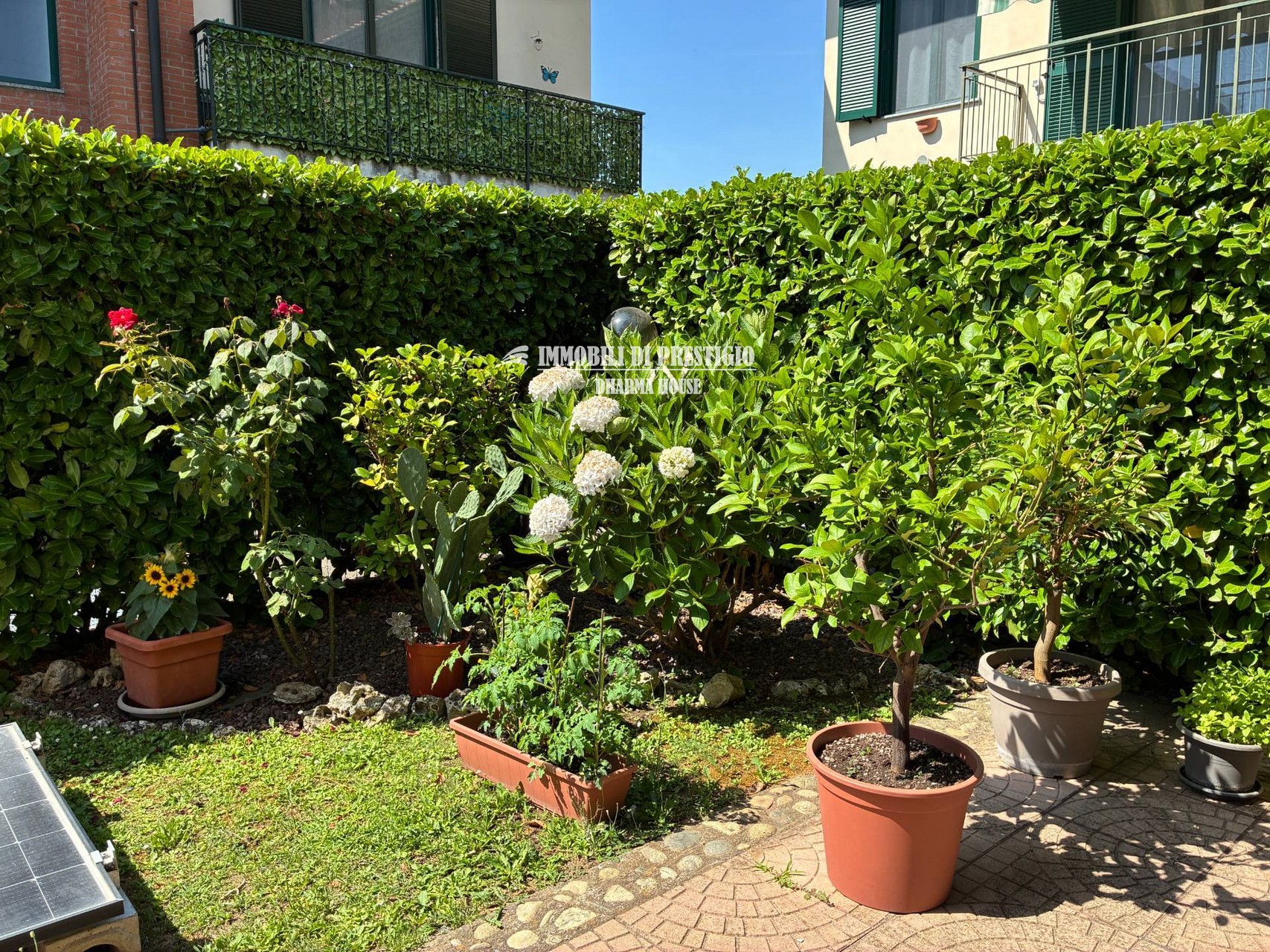 mt-corbetta3 CORBETTA, VENDITA QUADRILOCALE CON GIARDINO E TAVERNA